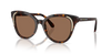 Swarovski Ladies Sunglasses Butterfly Havana Frame Brown Lens SK6031 100273 Swarovski