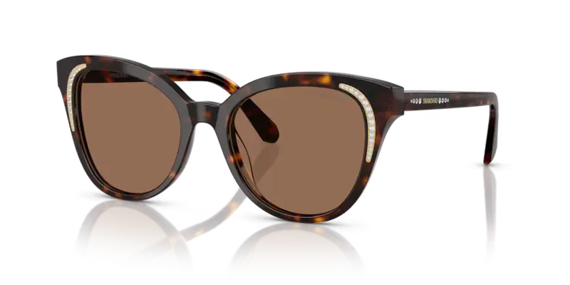 Swarovski Ladies Sunglasses Butterfly Havana Frame Brown Lens SK6031 100273
