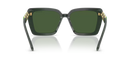 Swarovski Ladies Sunglasses Square Green Frame Green Lens SK6032 102671 Swarovski