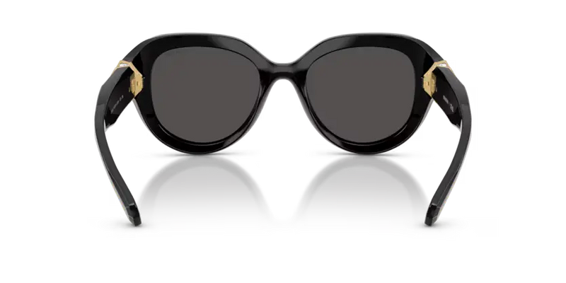 Swarovski Ladies Sunglasses Round Black Frame Dark Grey Lens SK6037 100187