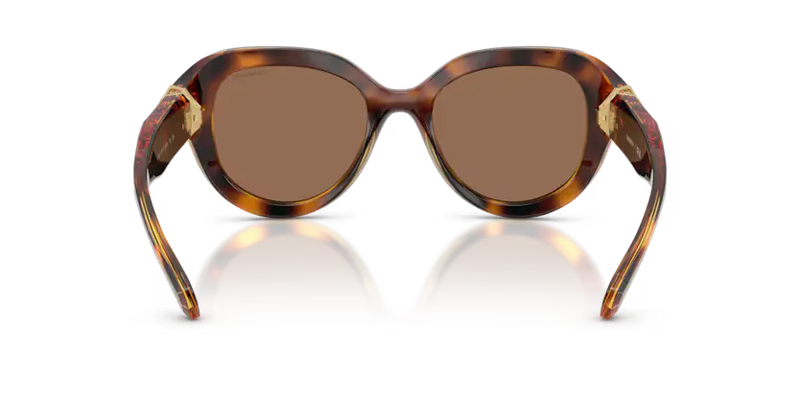 Swarovski Ladies Sunglasses Round Havana Frame Dark Brown Lens SK6037 100273