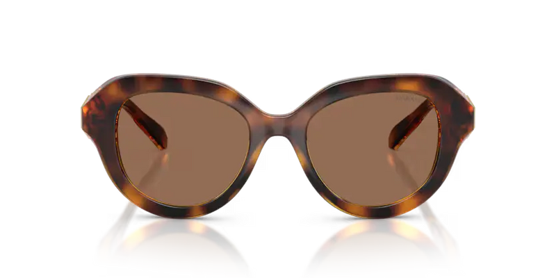 Swarovski Ladies Sunglasses Round Havana Frame Dark Brown Lens SK6037 100273
