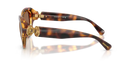 Swarovski Ladies Sunglasses Round Havana Frame Dark Brown Lens SK6037 100273