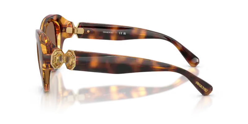 Swarovski Ladies Sunglasses Round Havana Frame Dark Brown Lens SK6037 100273