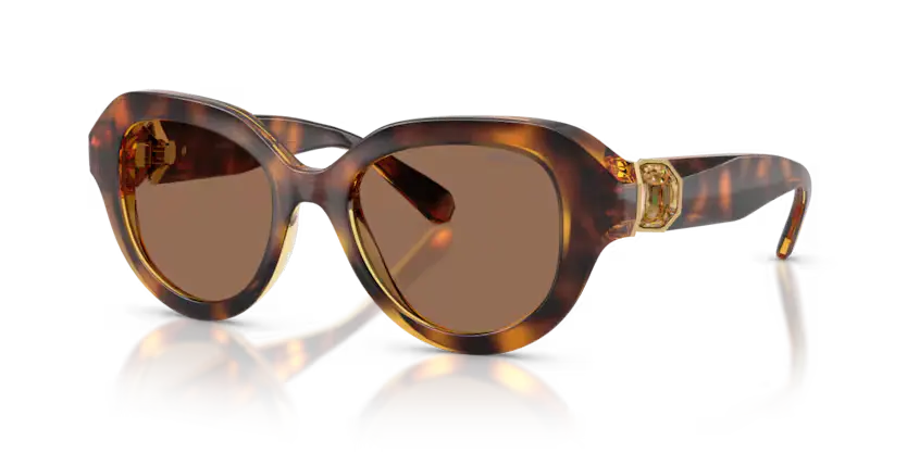 Swarovski Ladies Sunglasses Round Havana Frame Dark Brown Lens SK6037 100273