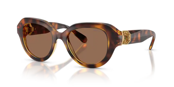 Swarovski Ladies Sunglasses Round Havana Frame Dark Brown Lens SK6037 100273