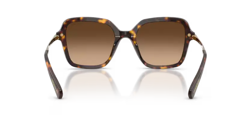 Swarovski Ladies Sunglasses Irregular Havana Frame Brown Lens SK6040 100274