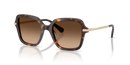 Swarovski Ladies Sunglasses Irregular Havana Frame Brown Lens SK6040 100274