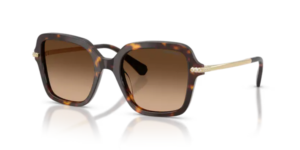 Swarovski Ladies Sunglasses Irregular Havana Frame Brown Lens SK6040 100274