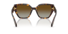 Swarovski Ladies Sunglasses Irregular Havana Brown SK6044U 1002T5
