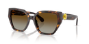 Swarovski Ladies Sunglasses Irregular Havana Brown SK6044U 1002T5 Swarovski