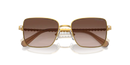 Swarovski Ladies Sunglasses Round Gold Frame Brown Lens SK7015 400713