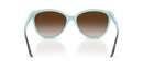 Tiffany & Co. Sunglasses Cat Eye Havana on Tiffany Blue TF4089B 81343B