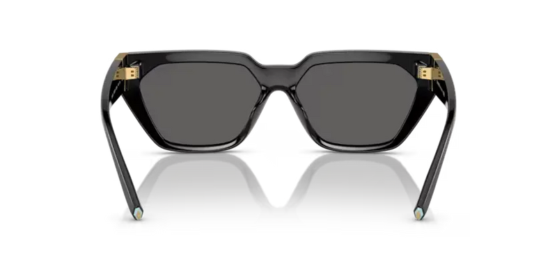 Tiffany & Co. Sunglasses Black Frame TF4205U 8001S4