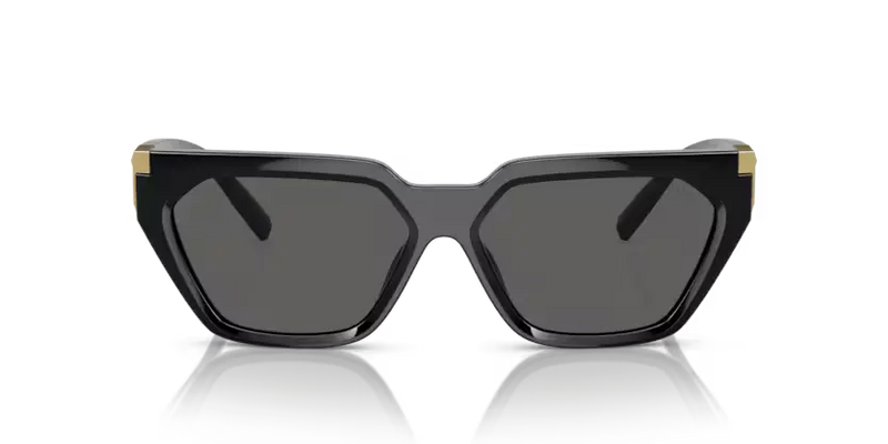 Tiffany & Co. Sunglasses Black Frame TF4205U 8001S4