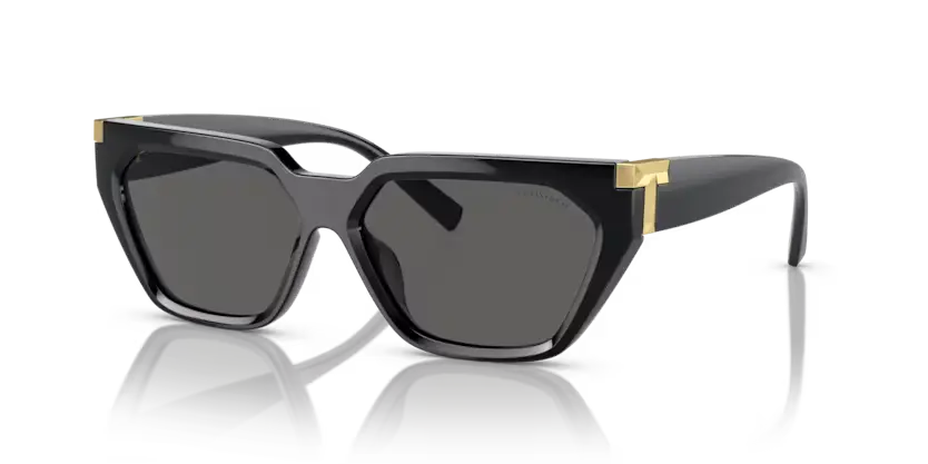 Tiffany & Co. Sunglasses Black Frame TF4205U 8001S4