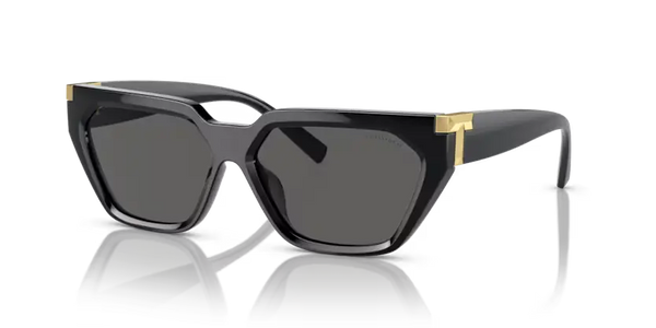 Tiffany & Co. Sunglasses Black Frame TF4205U 8001S4