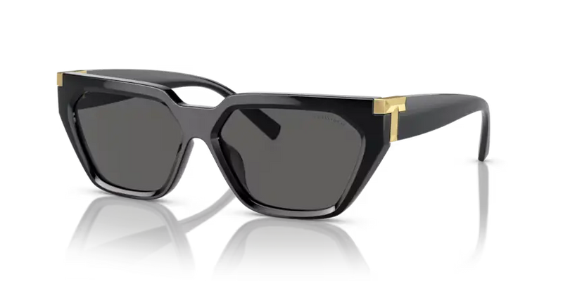Tiffany & Co. Sunglasses Black Frame TF4205U 8001S4