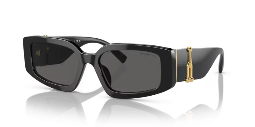 Tiffany & Co. Ladies Sunglasses Rectangle Black Frame TF4208U 8001S4