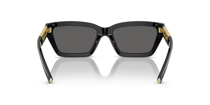 Tiffany & Co. Sunglasses Rectangle Black Frame TF4213 8001S4