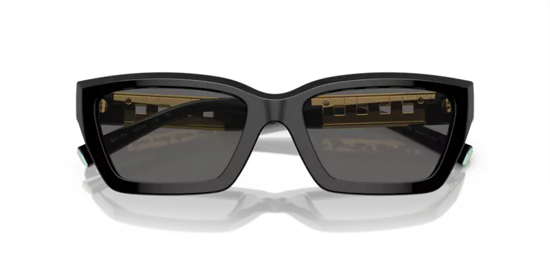 Tiffany & Co. Sunglasses Rectangle Black Frame TF4213 8001S4