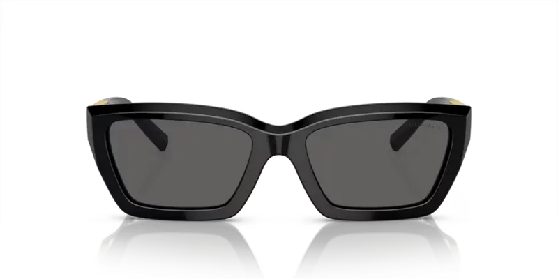Tiffany & Co. Sunglasses Rectangle Black Frame TF4213 8001S4