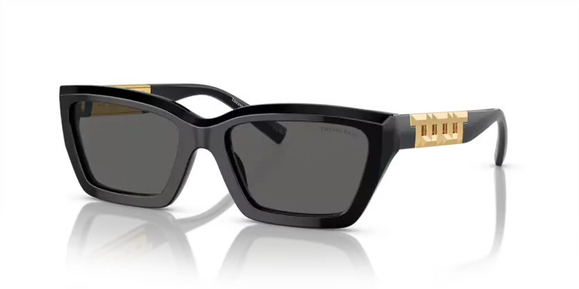 Tiffany & Co. Sunglasses Rectangle Black Frame TF4213 8001S4