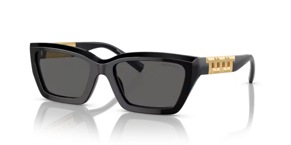 Tiffany & Co. Sunglasses Rectangle Black Frame TF4213 8001S4