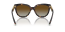 Tiffany & Co. Sunglasses Cat Eye Havana Frame TF4215 8015T5