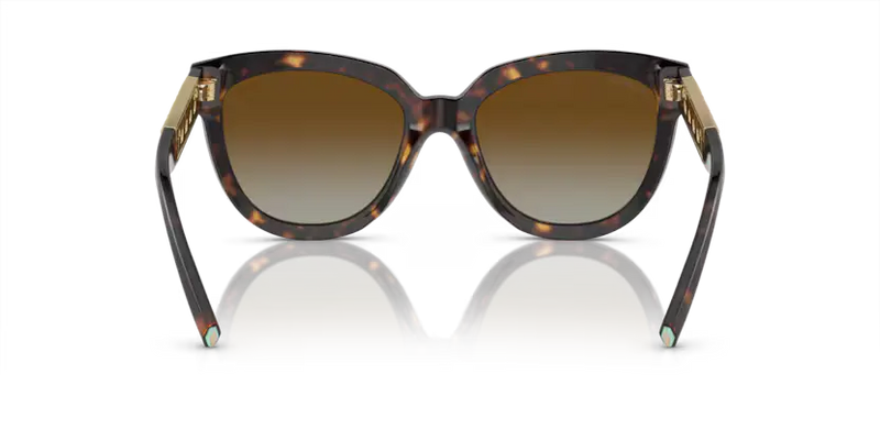 Tiffany & Co. Sunglasses Cat Eye Havana Frame TF4215 8015T5