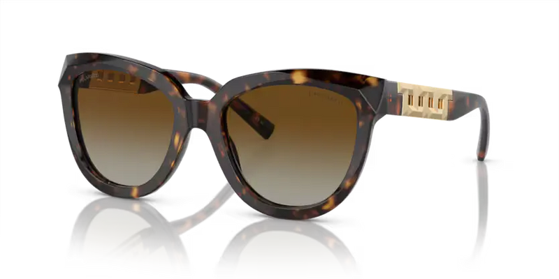 Tiffany & Co. Sunglasses Cat Eye Havana Frame TF4215 8015T5