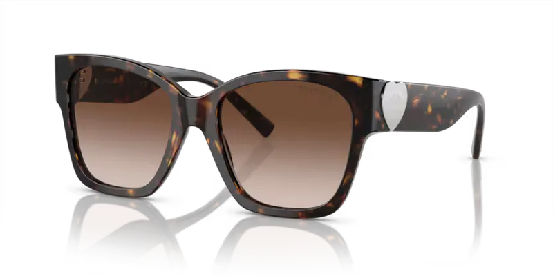 Tiffany & Co. Sunglasses Square Havana Frame TF4216 80153B