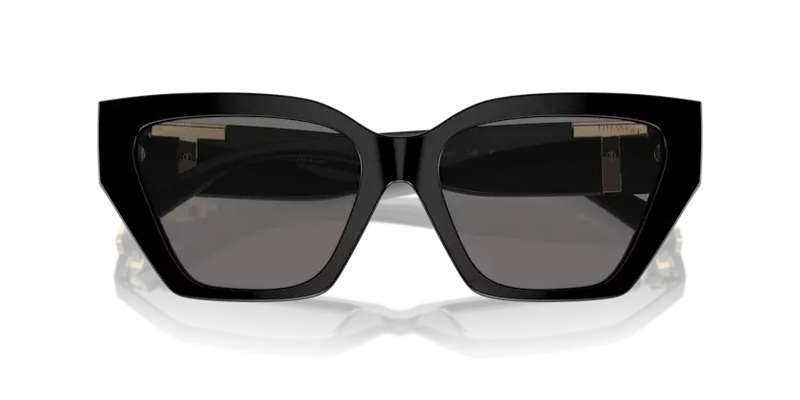 Tiffany & Co. Sunglasses Cat Eye Black Frame Polarised TF4218 800181