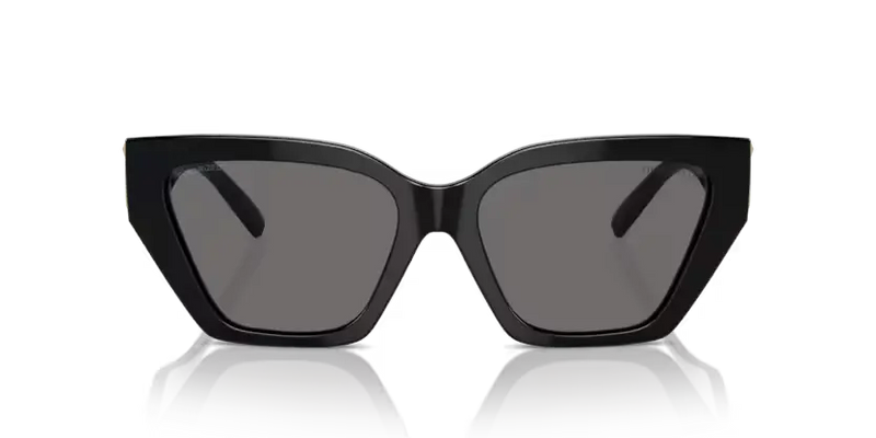 Tiffany & Co. Sunglasses Cat Eye Black Frame Polarised TF4218 800181