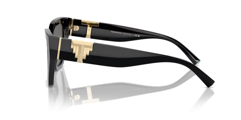 Tiffany & Co. Sunglasses Cat Eye Black Frame Polarised TF4218 800181