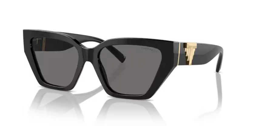 Tiffany & Co. Sunglasses Cat Eye Black Frame Polarised TF4218 800181