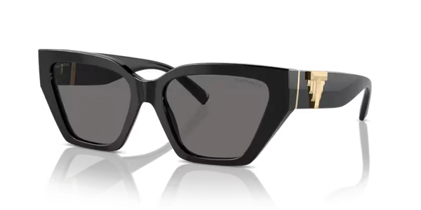 Tiffany & Co. Sunglasses Cat Eye Black Frame Polarised TF4218 800181