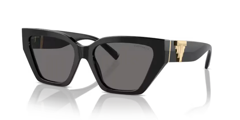 Tiffany & Co. Sunglasses Cat Eye Black Frame Polarised TF4218 800181