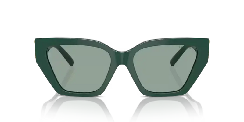 Tiffany & Co. Ladies Sunglasses Cat Eye Green TF4218 840882