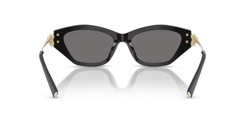 Tiffany & Co. Ladies Sunglasses Cat Eye Black Frame TF4231U 800181
