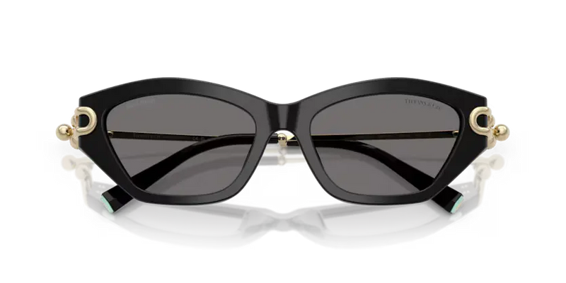 Tiffany & Co. Ladies Sunglasses Cat Eye Black Frame TF4231U 800181