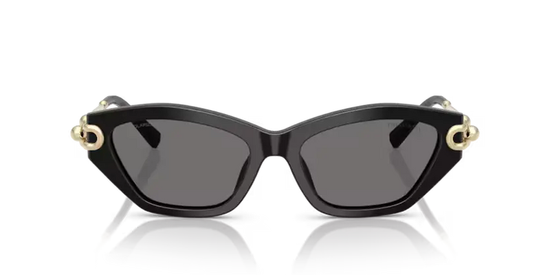 Tiffany & Co. Ladies Sunglasses Cat Eye Black Frame TF4231U 800181