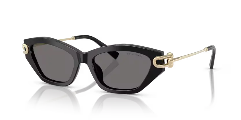 Tiffany & Co. Ladies Sunglasses Cat Eye Black Frame TF4231U 800181