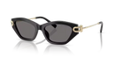 Tiffany & Co. Ladies Sunglasses Cat Eye Black Frame TF4231U 800181