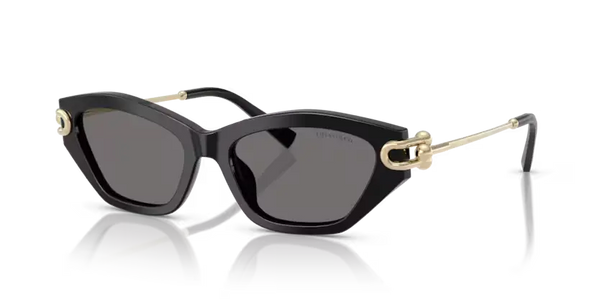Tiffany & Co. Ladies Sunglasses Cat Eye Black Frame TF4231U 800181