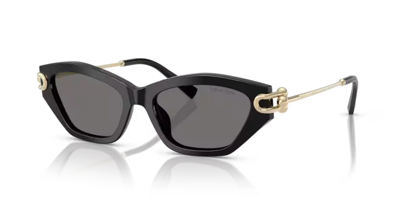 Tiffany & Co. Ladies Sunglasses Cat Eye Black Frame TF4231U 800181