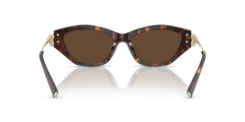 Tiffany & Co. Ladies Sunglasses Cat Eye Havana Frame TF4231U 80153G
