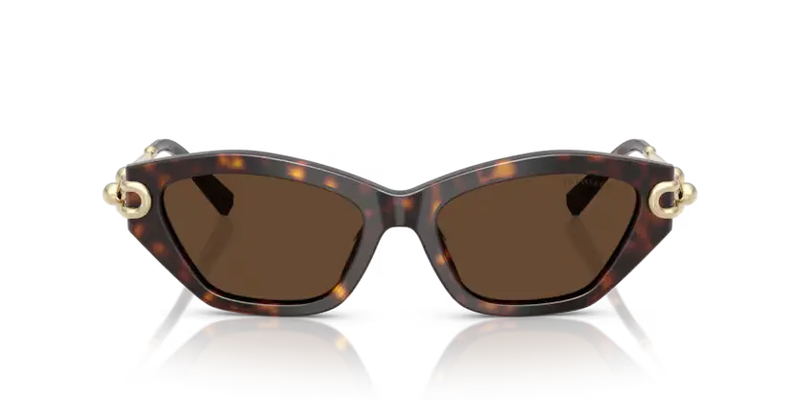 Tiffany & Co. Ladies Sunglasses Cat Eye Havana Frame TF4231U 80153G