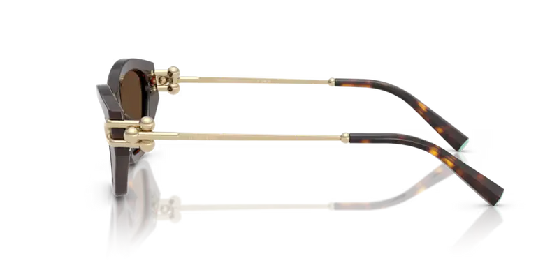 Tiffany & Co. Ladies Sunglasses Cat Eye Havana Frame TF4231U 80153G