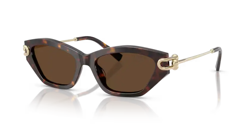 Tiffany & Co. Ladies Sunglasses Cat Eye Havana Frame TF4231U 80153G